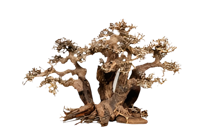 Forest Bonsai tree - Hardscape.nl