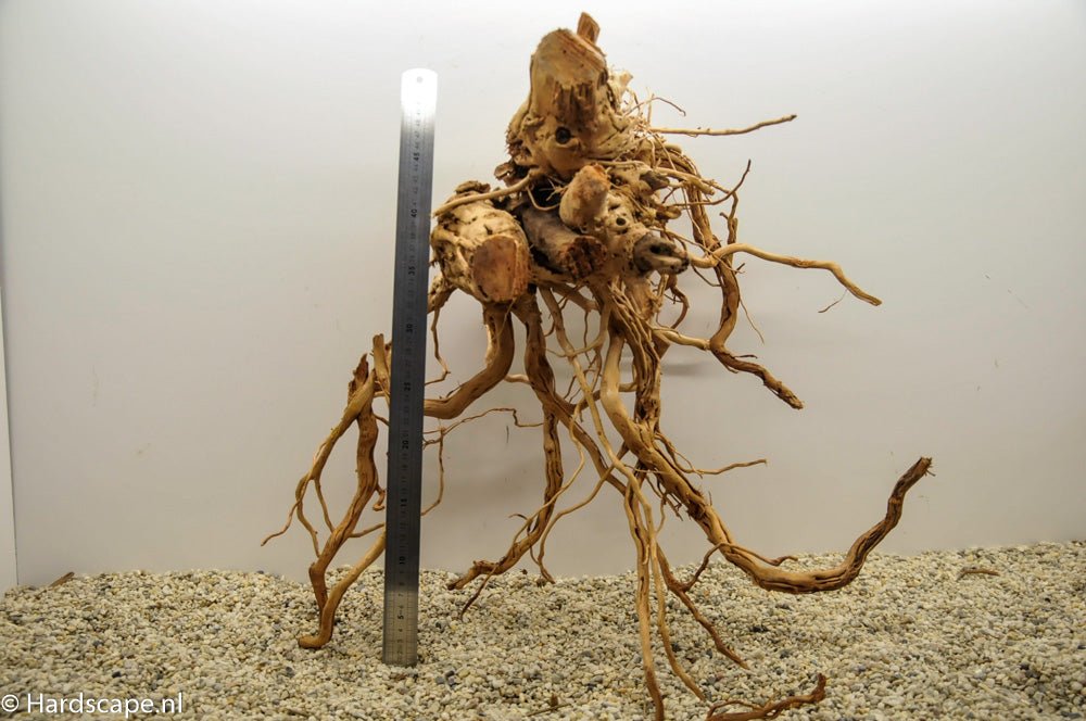 Curl Wood 021 - Hardscape.nl