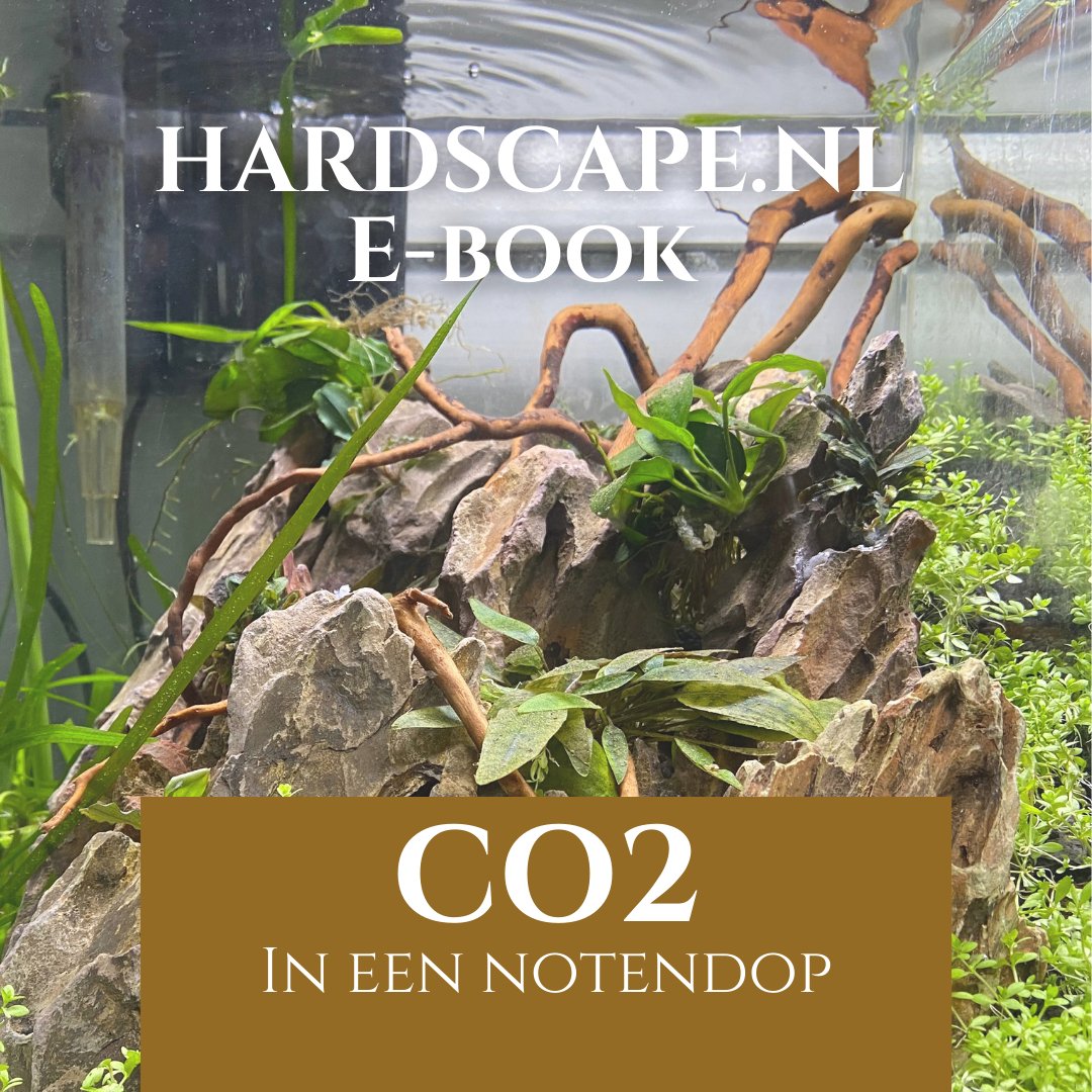 CO2 in een Notendop E-book - Hardscape.nl