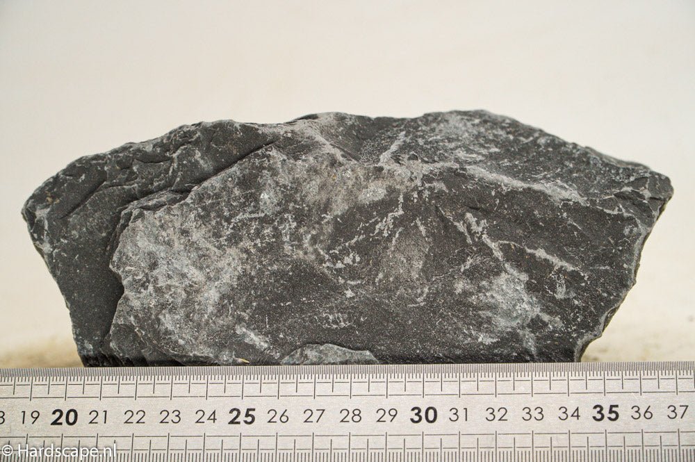 Black Venom XL003 - Hardscape.nl
