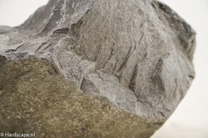 Black Venom XL008 - Hardscape.nl