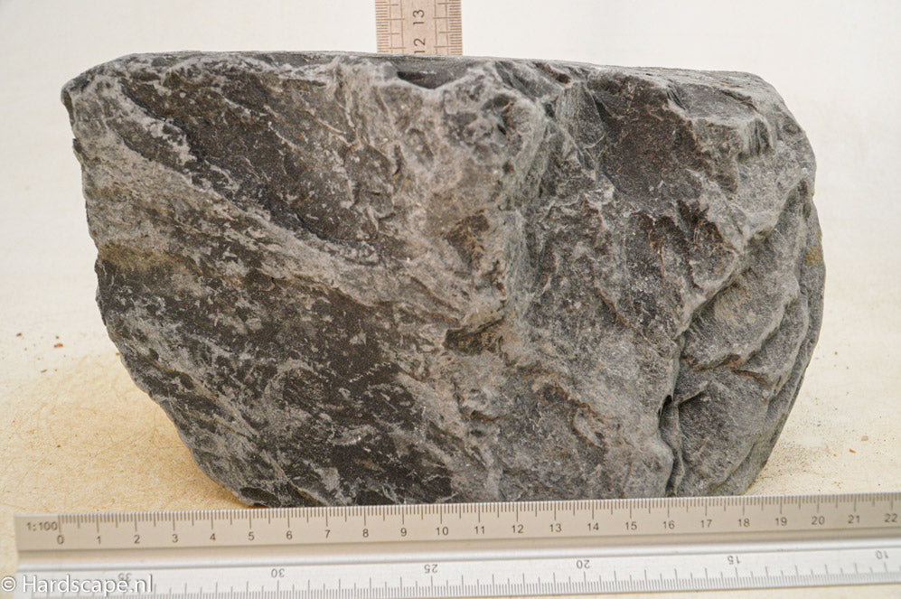 Black Venom XL009 - Hardscape.nl