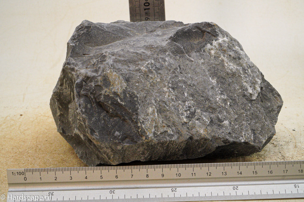 Black Venom XL011 - Hardscape.nl