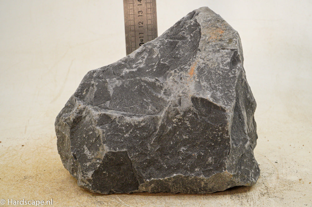 Black Venom XL011 - Hardscape.nl