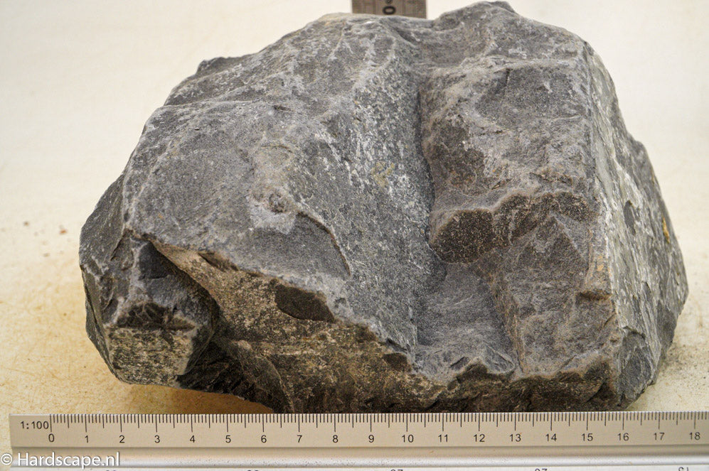 Black Venom XL012 - Hardscape.nl