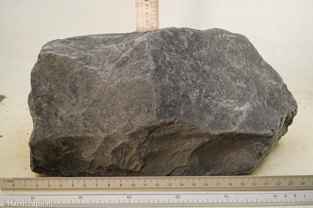 Black Venom XL013 - Hardscape.nl