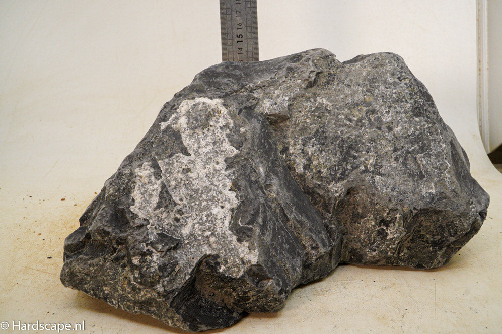 Black Venom XL014 - Hardscape.nl