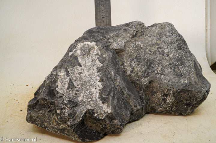Black Venom XL014 - Hardscape.nl