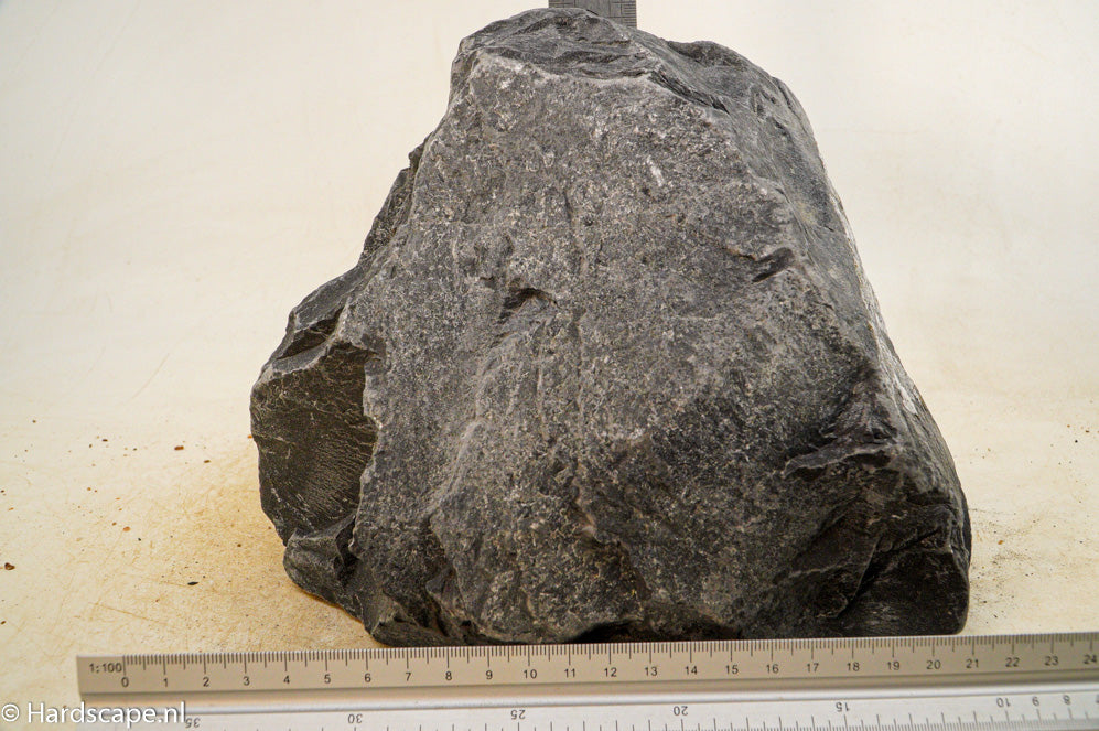 Black Venom XL015 - Hardscape.nl