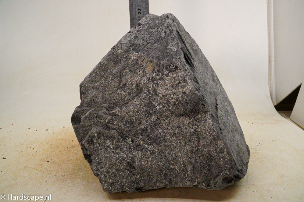 Black Venom XL015 - Hardscape.nl