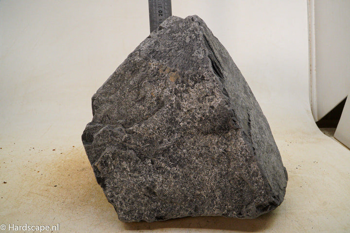 Black Venom XL015 - Hardscape.nl