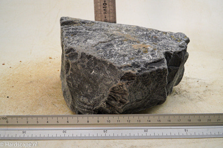 Black Venom XL016 - Hardscape.nl