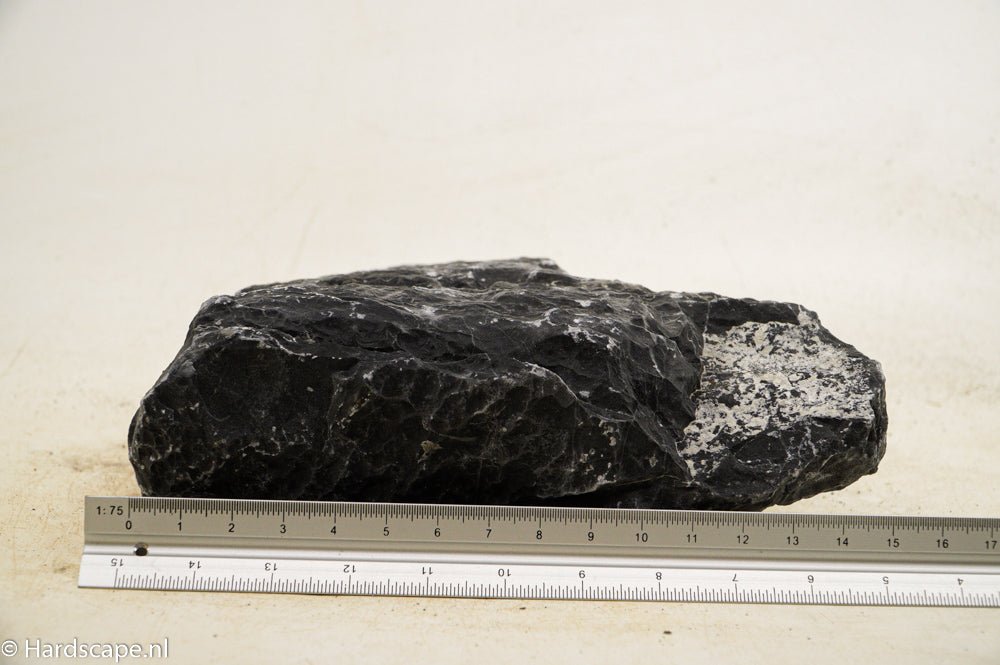 Dark Seiryu Rock XL036 - Hardscape.nl