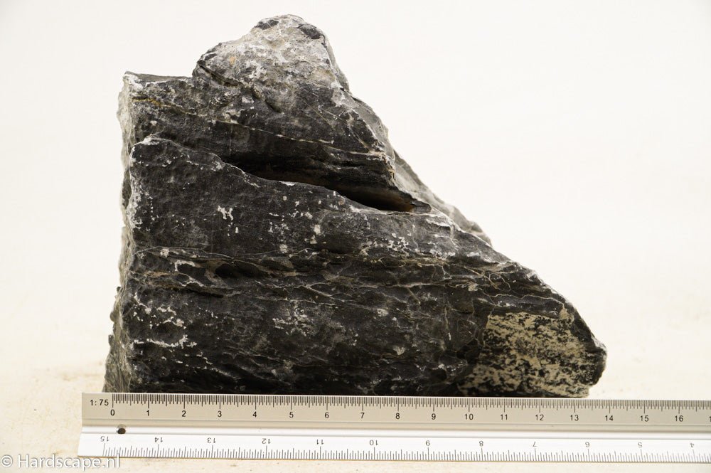 Dark Seiryu Rock XL036 - Hardscape.nl