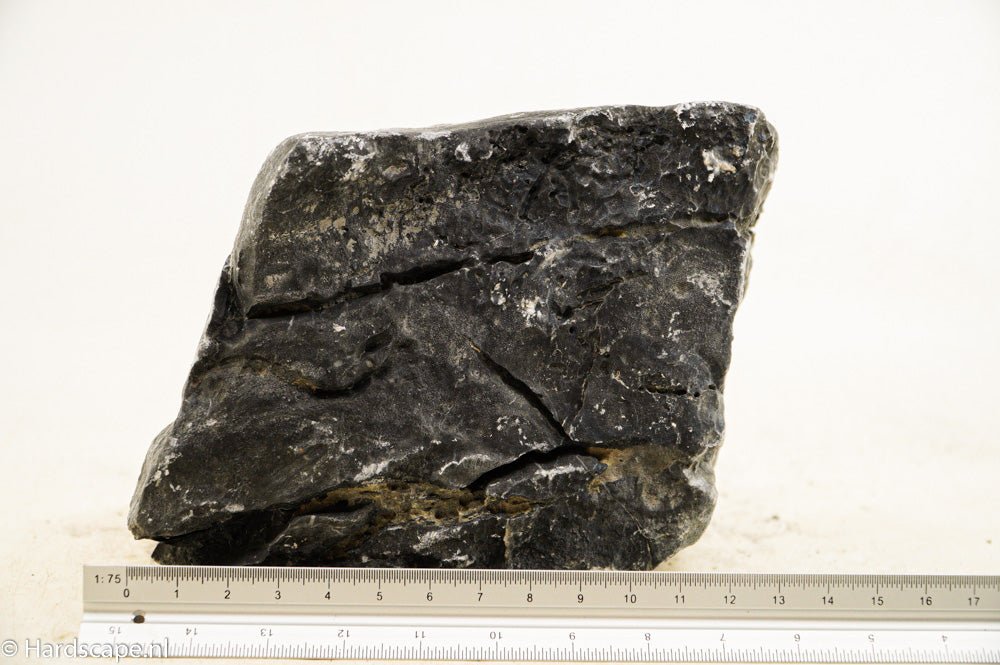 Dark Seiryu Rock XL037 - Hardscape.nl
