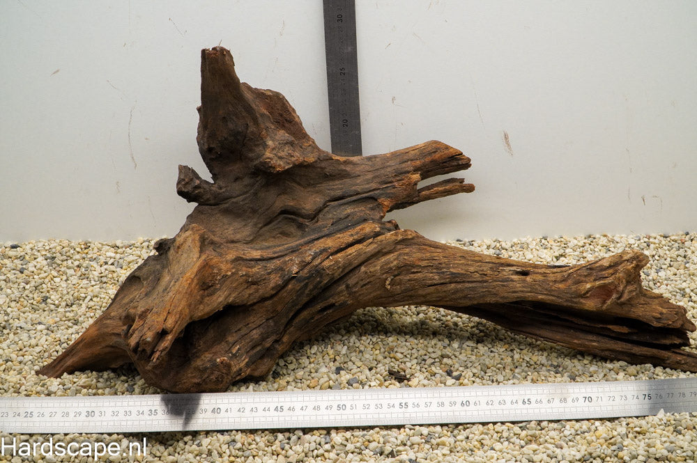 Driftwood XL105 - Hardscape.nl