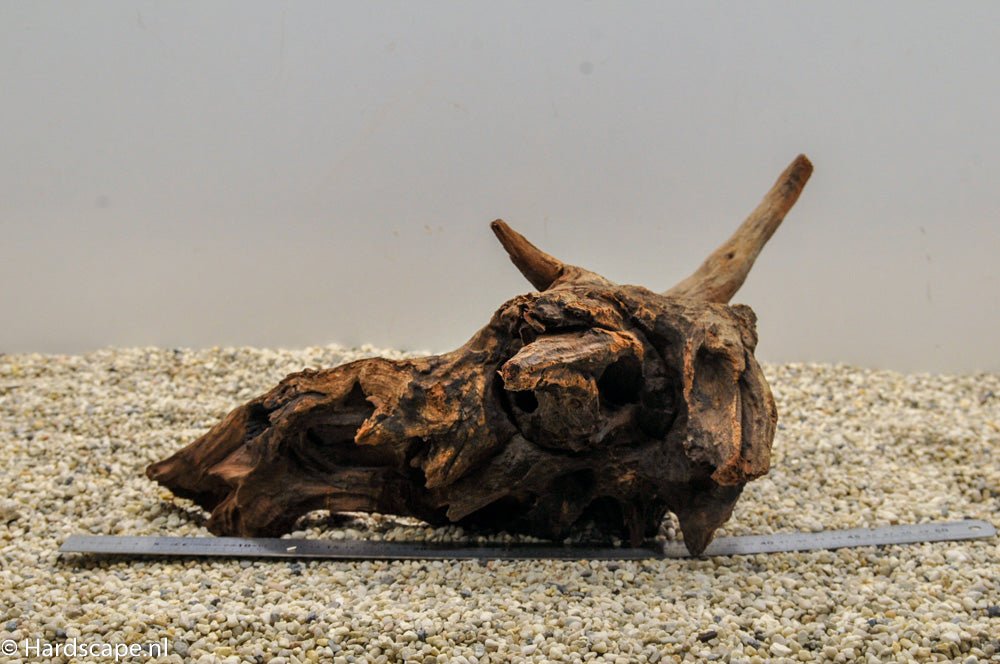 Driftwood XL40 - Hardscape.nl