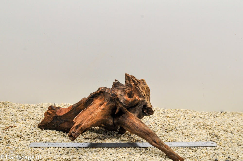 Driftwood XL40 - Hardscape.nl