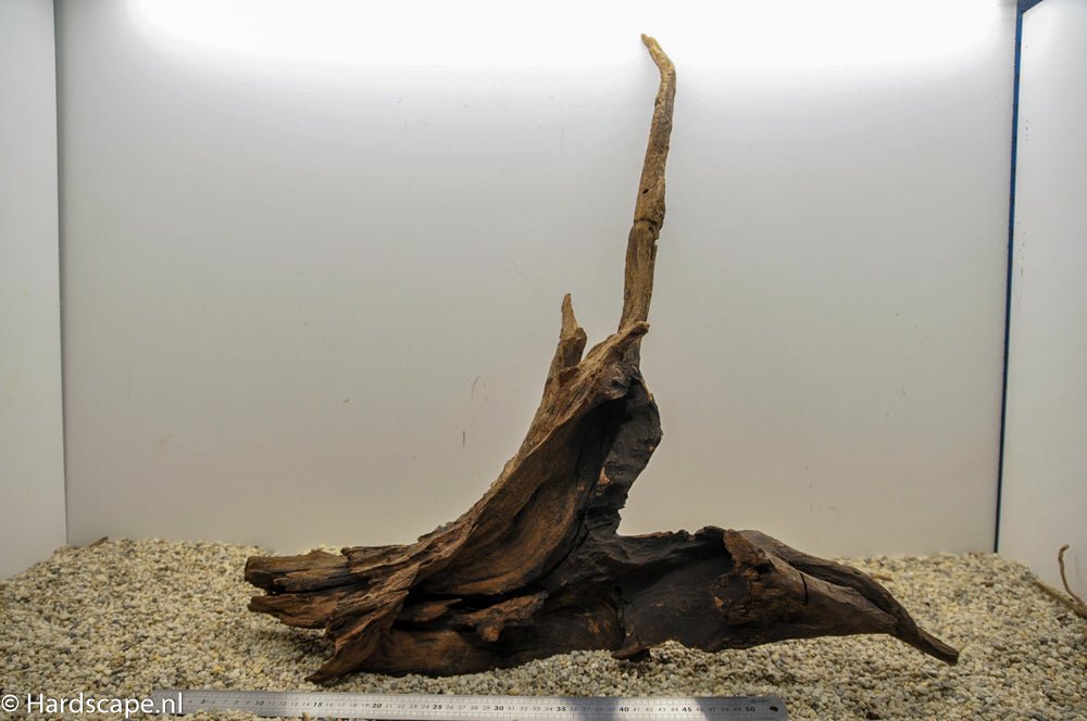 Driftwood XL49 - Hardscape.nl