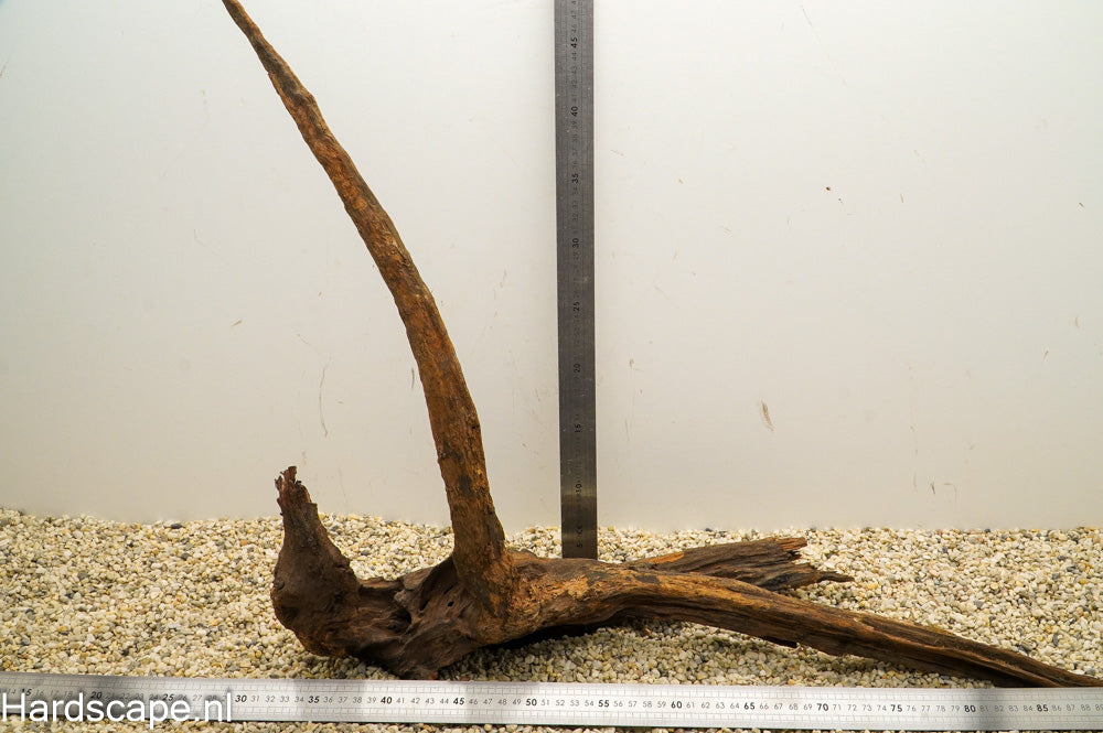 Driftwood XL96 - Hardscape.nl