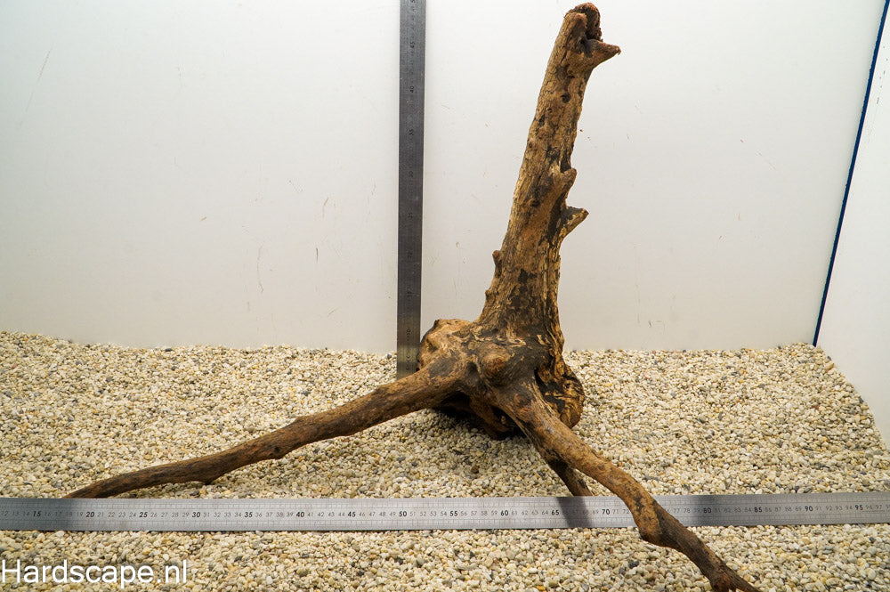 Driftwood XL98 - Hardscape.nl