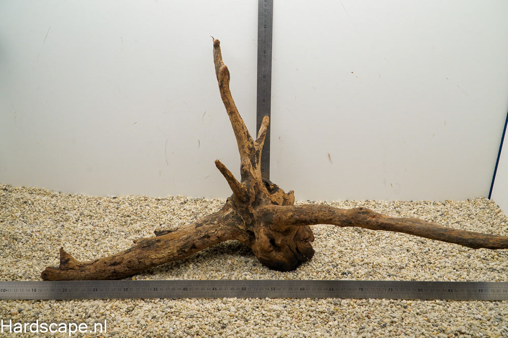 Driftwood XL98 - Hardscape.nl