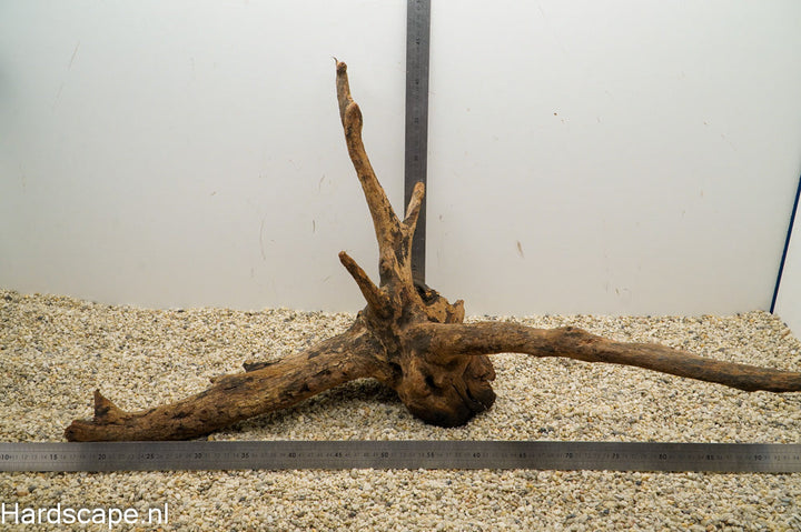 Driftwood XL98 - Hardscape.nl