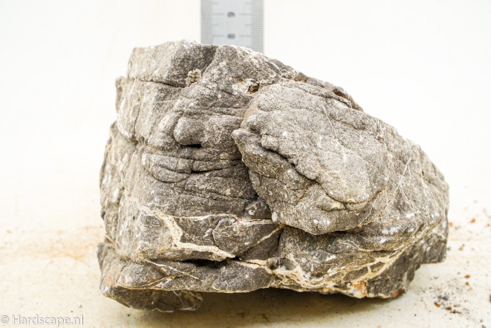 Elephant Skin Rock XL118 - Hardscape.nl