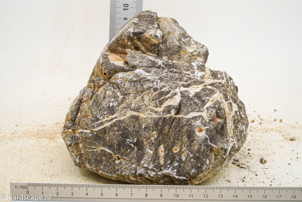 Elephant Skin Rock XL118 - Hardscape.nl