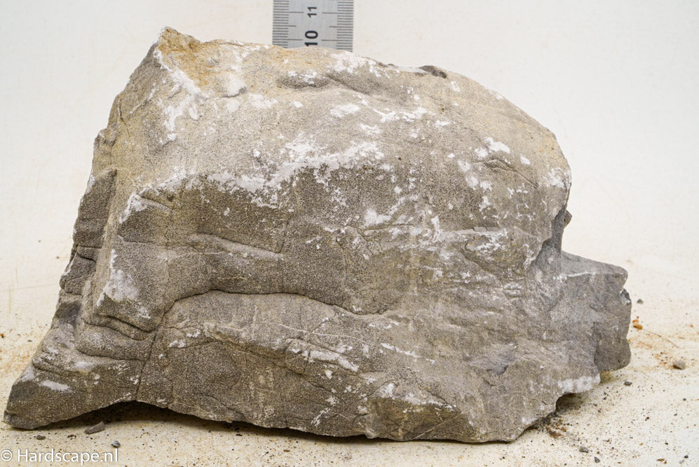 Elephant Skin Rock XL127 - Hardscape.nl