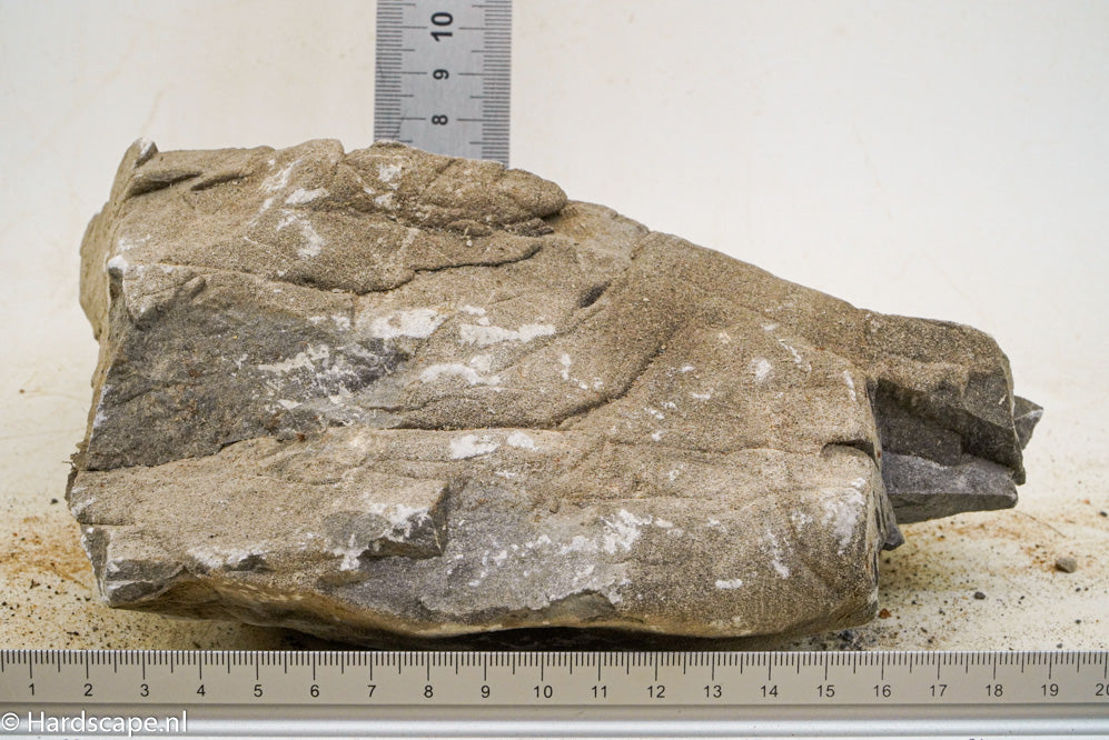 Elephant Skin Rock XL127 - Hardscape.nl
