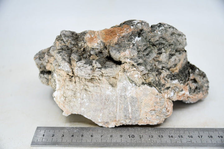 Elephant Skin Rock XL16 - Hardscape.nl