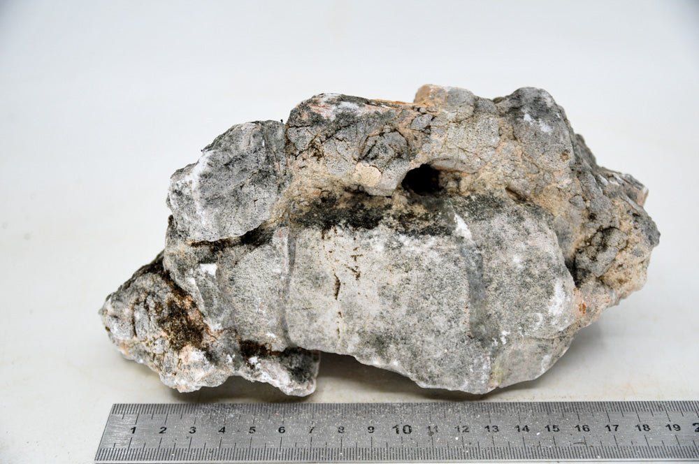 Elephant Skin Rock XL16 - Hardscape.nl