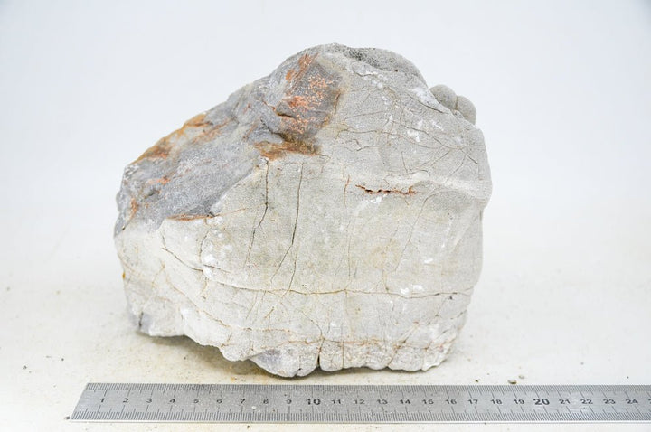 Elephant Skin Rock XL23 - Hardscape.nl