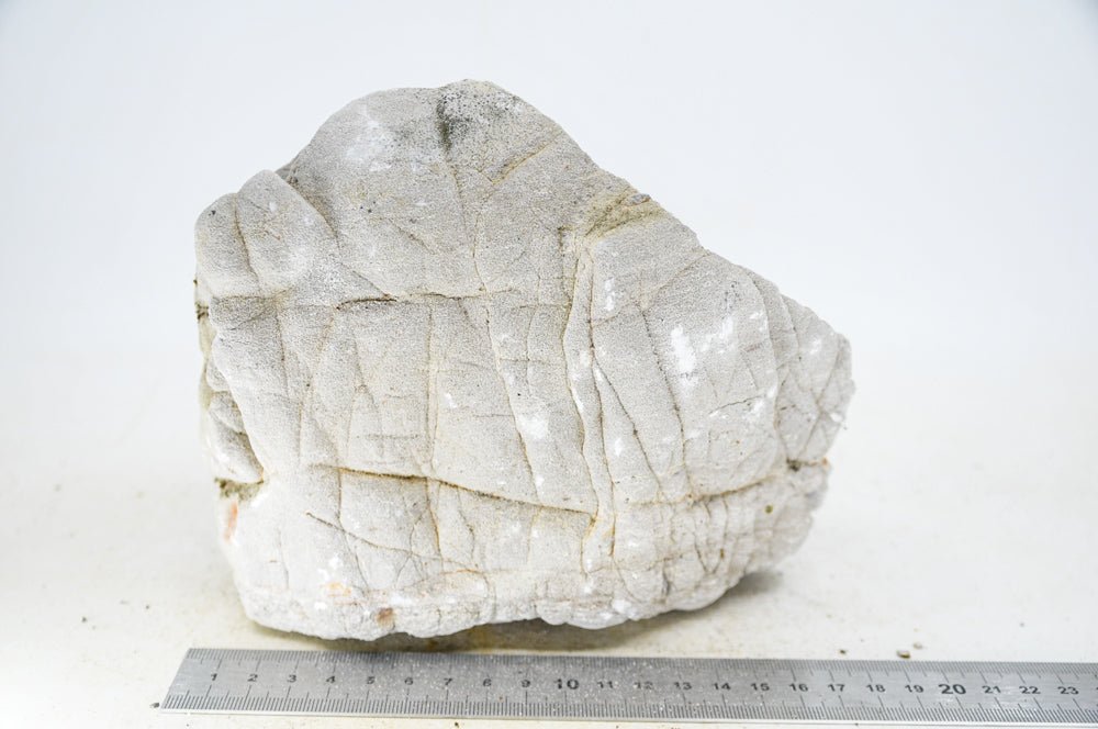 Elephant Skin Rock XL23 - Hardscape.nl