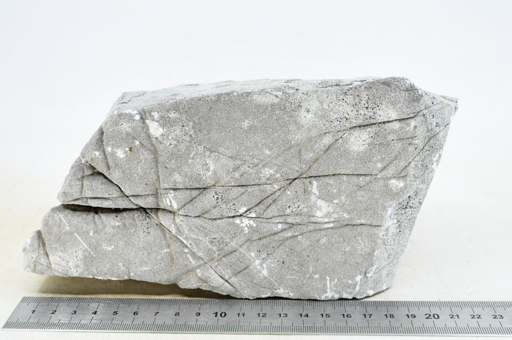 Elephant Skin Rock XL32 - Hardscape.nl