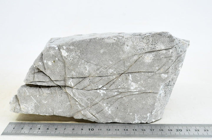 Elephant Skin Rock XL32 - Hardscape.nl