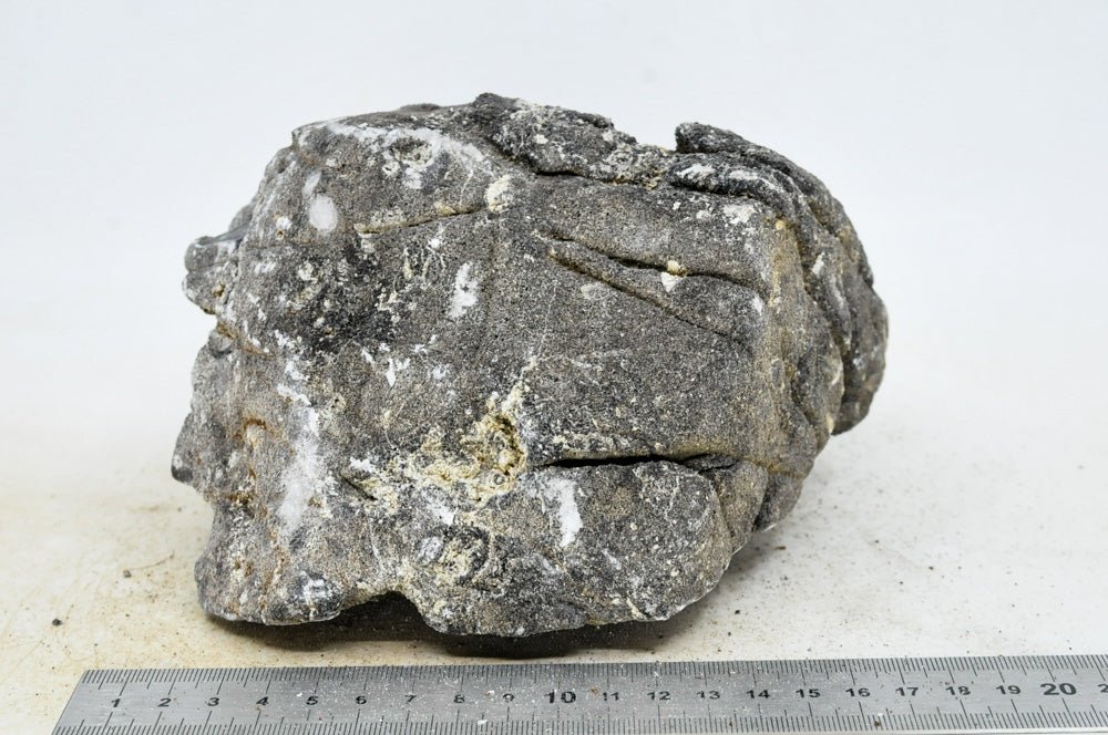 Elephant Skin Rock XL44 - Hardscape.nl