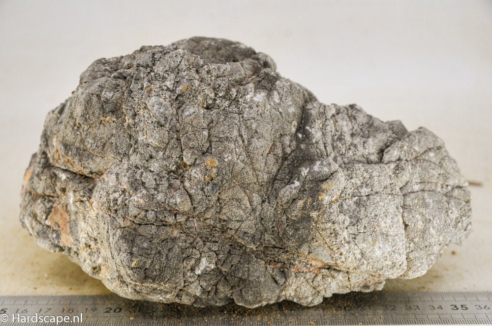 Elephant Skin Rock XL47 - Hardscape.nl