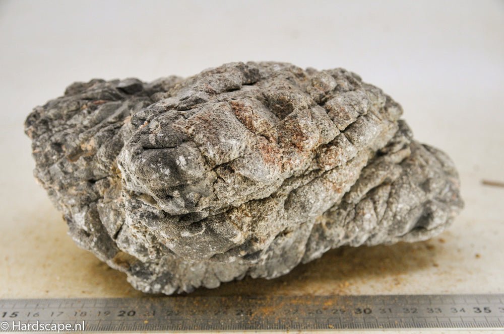 Elephant Skin Rock XL47 - Hardscape.nl