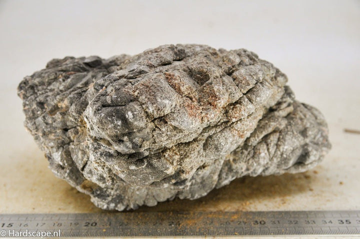 Elephant Skin Rock XL47 - Hardscape.nl