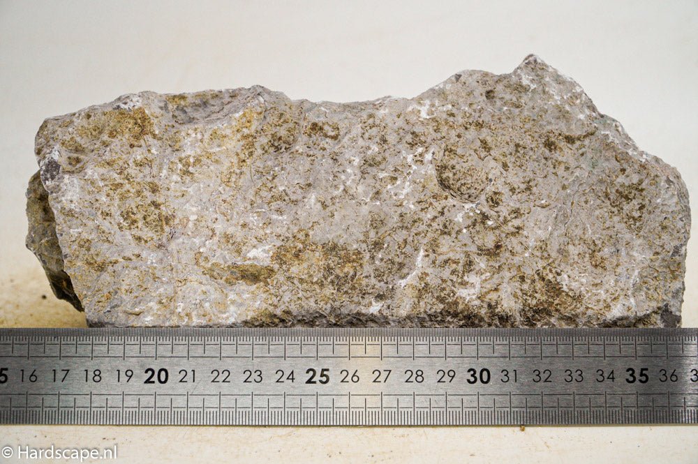 Elephant Skin Rock XL48 - Hardscape.nl