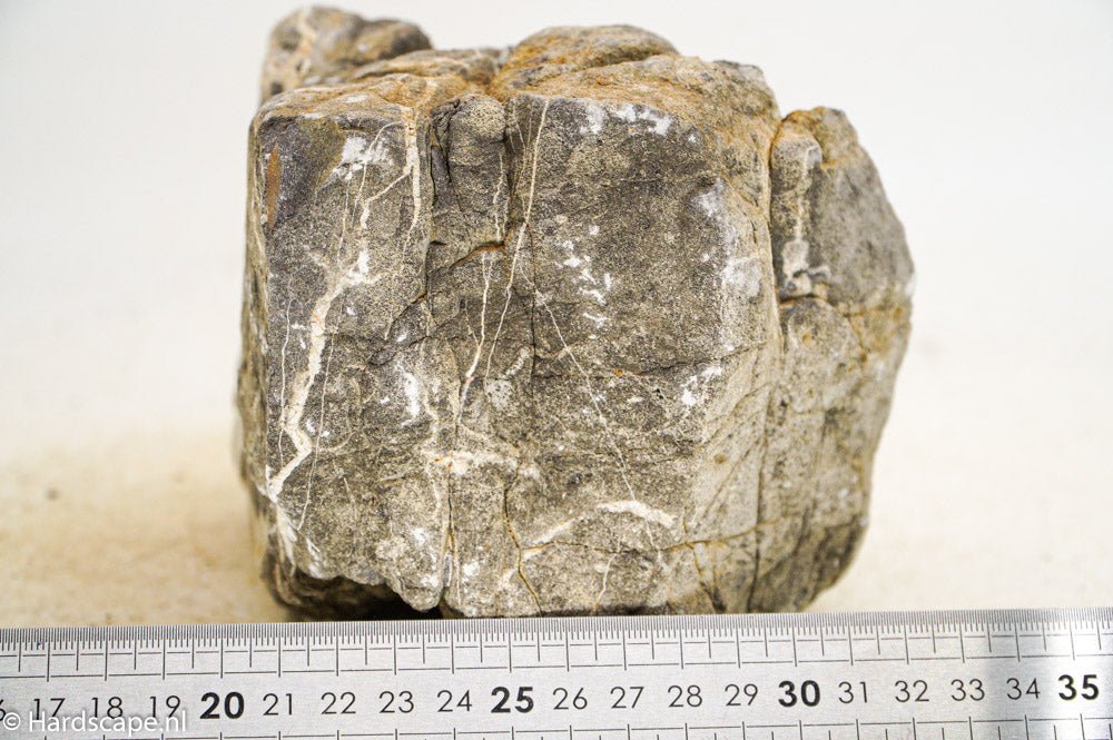 Elephant Skin Rock XL50 - Hardscape.nl