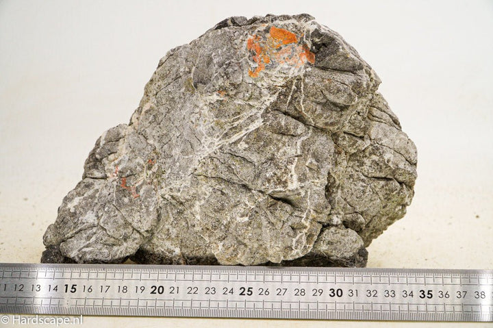 Elephant Skin Rock XL54 - Hardscape.nl