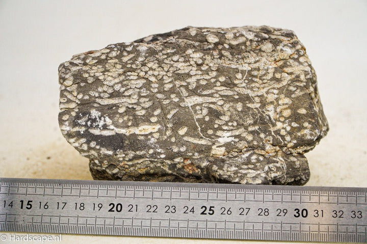 Elephant Skin Rock XL55 - Hardscape.nl