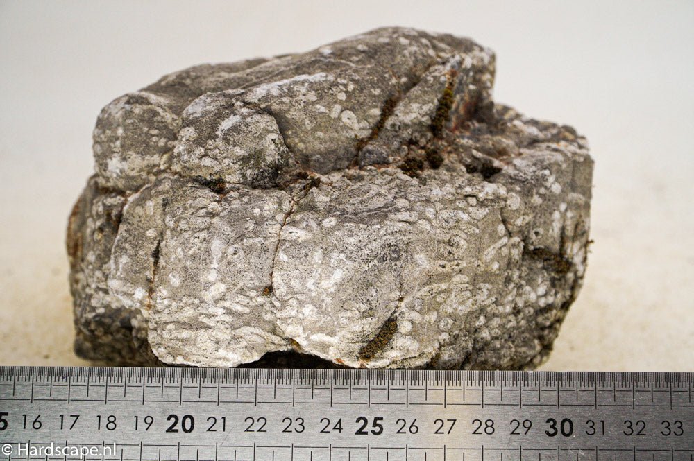 Elephant Skin Rock XL55 - Hardscape.nl