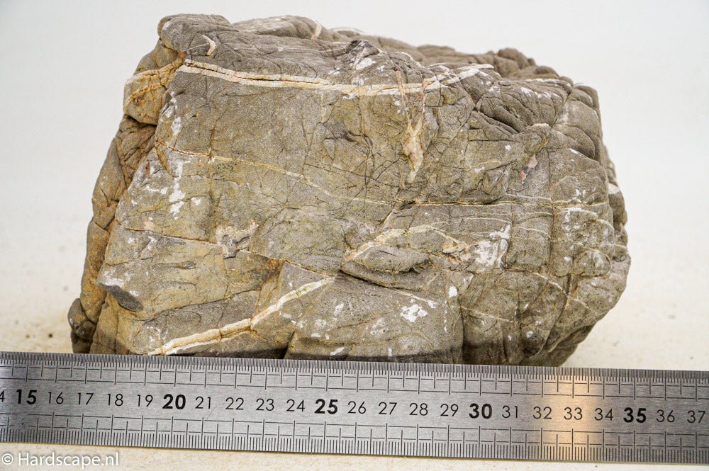 Elephant Skin Rock XL56 - Hardscape.nl