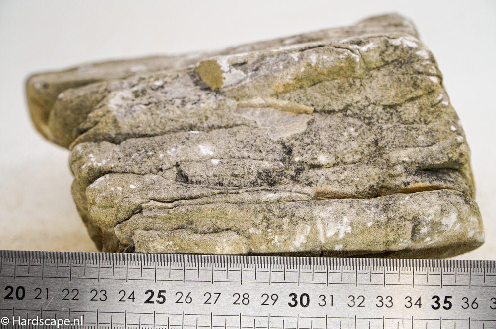 Elephant Skin Rock XL57 - Hardscape.nl
