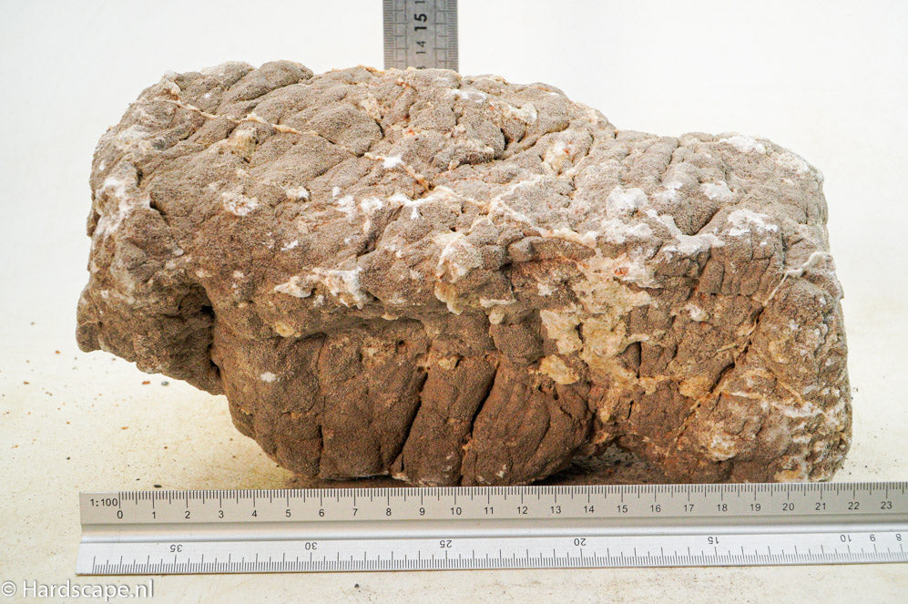 Elephant Skin Rock XL90 - Hardscape.nl