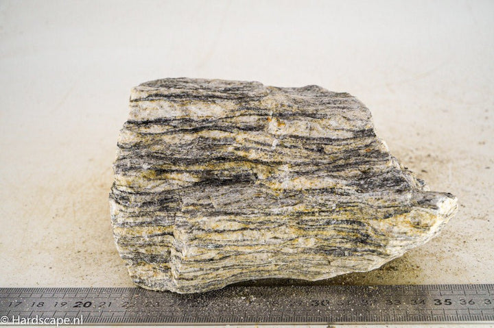 Glimmer Wood Rock XL29 - Hardscape.nl